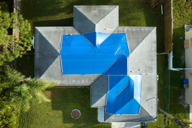 Best Roof Moss and Algae Removal  in West Chester, PA